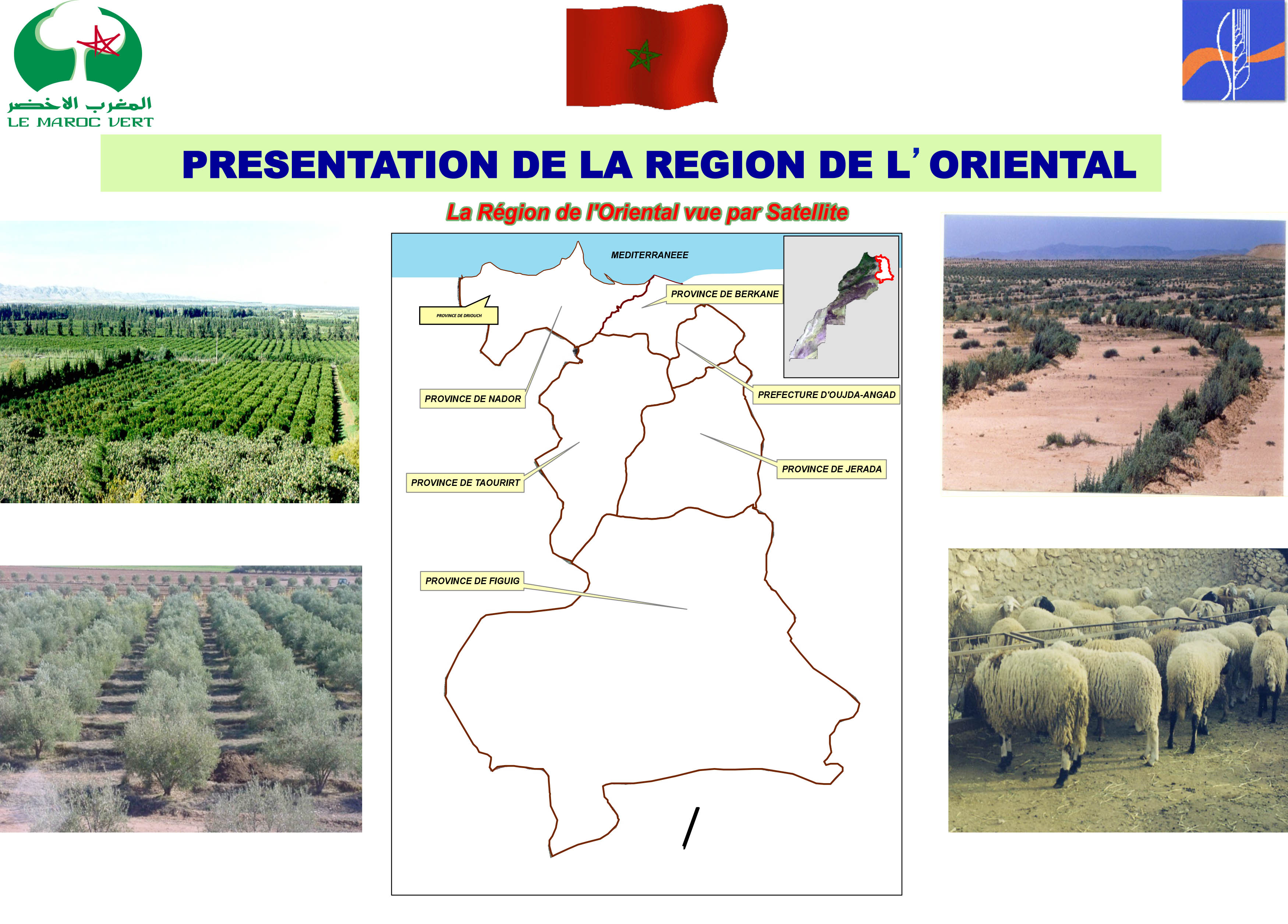 Presentation de la region de l’oriental