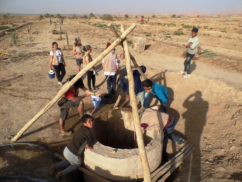 اليوم الأخضرفي إطار سباق سيارات ايكولوجيلي Students Challenge 7 سنوات من العمل في سبيل البيئة