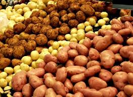 المغرب ينتج سنويا أزيد من 4ر1 مليون طن من البطاطس