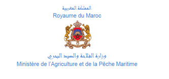 Exportations fruits et légumes : Le Maroc appelle l’UE à prendre ses responsabilités sans délais