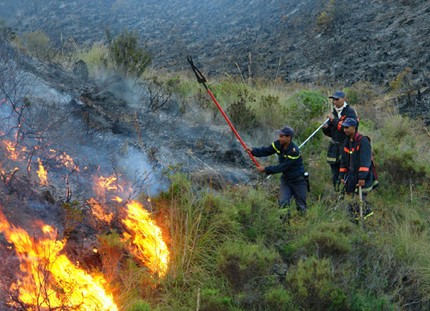 إخماد حريق بضواحي تطوان أتى على أزيد من 17 هكتارا من الغطاء الغابوي