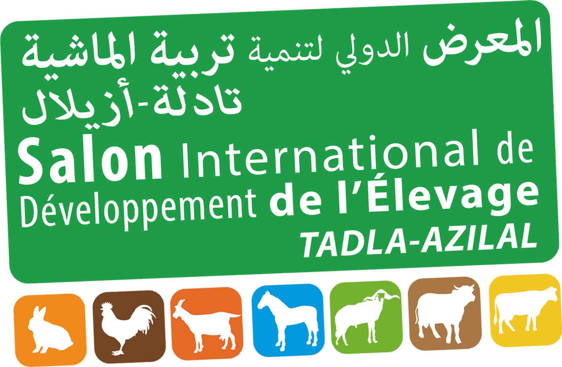 صور من البرامج الفلاحية لإذاعة مدينة إف إم بالمعرض الدولي لتنمية تربية الماشية – تادلة أزيلال –