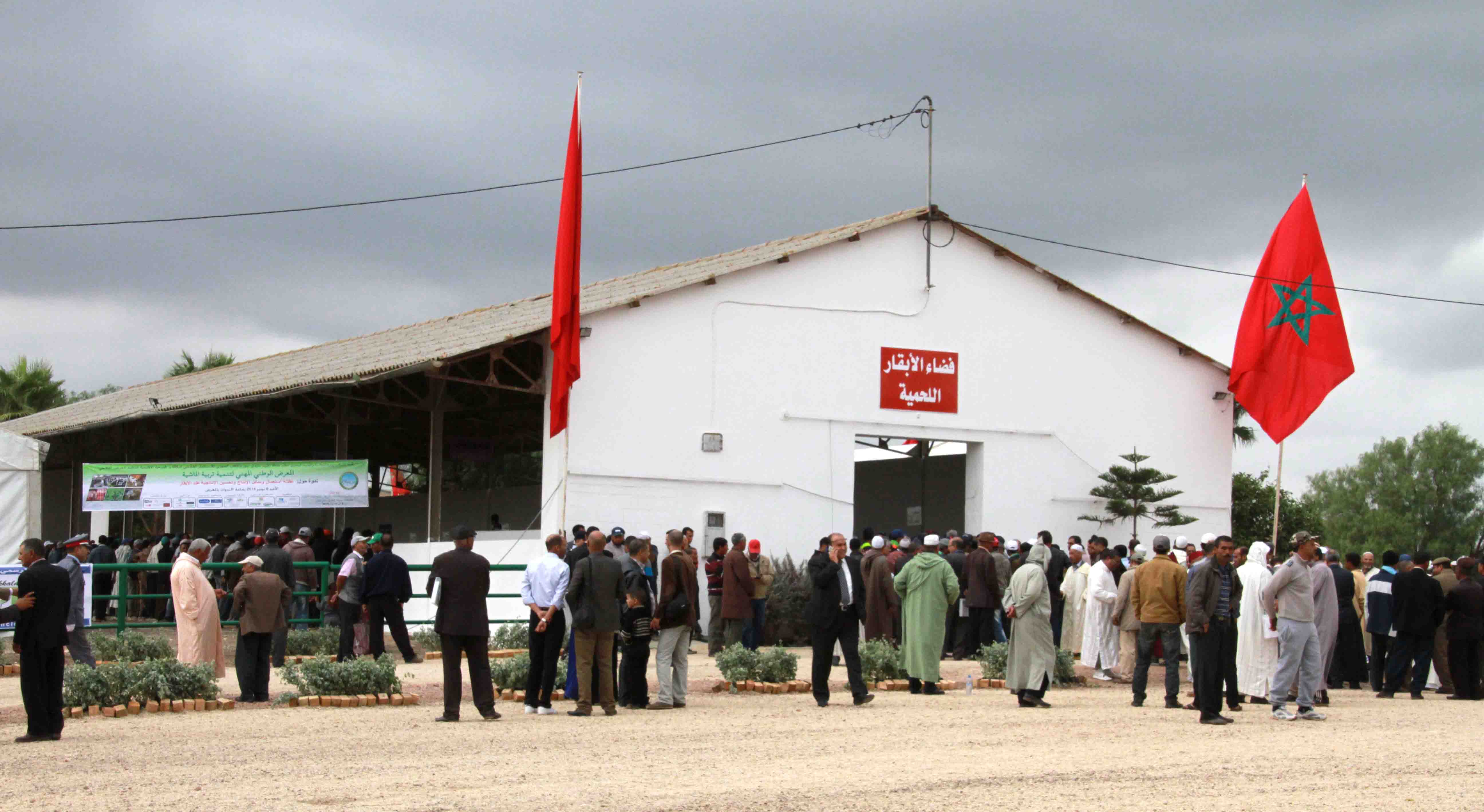 جولة داخل أروقة المعرض الوطني المهني لتنمية تربية الماشية سيدي بنور