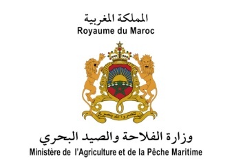 Les professionnels du secteur des industries agroalimentaire mis à contribution dans l’élaboration de la stratégie de développement de l’agro-industrie marocaine