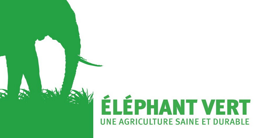 فرع مجموعة “ELEPHANT VERT” السويسرية بالمغرب يحصل على شهادة إيزو 9001 الخاصة بتسويق الأسمدة الحيوية