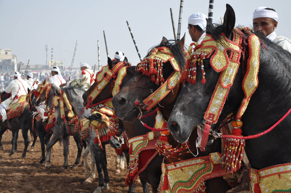 موسم مولاي عبد الله أمغار يحطم كل الأرقام.