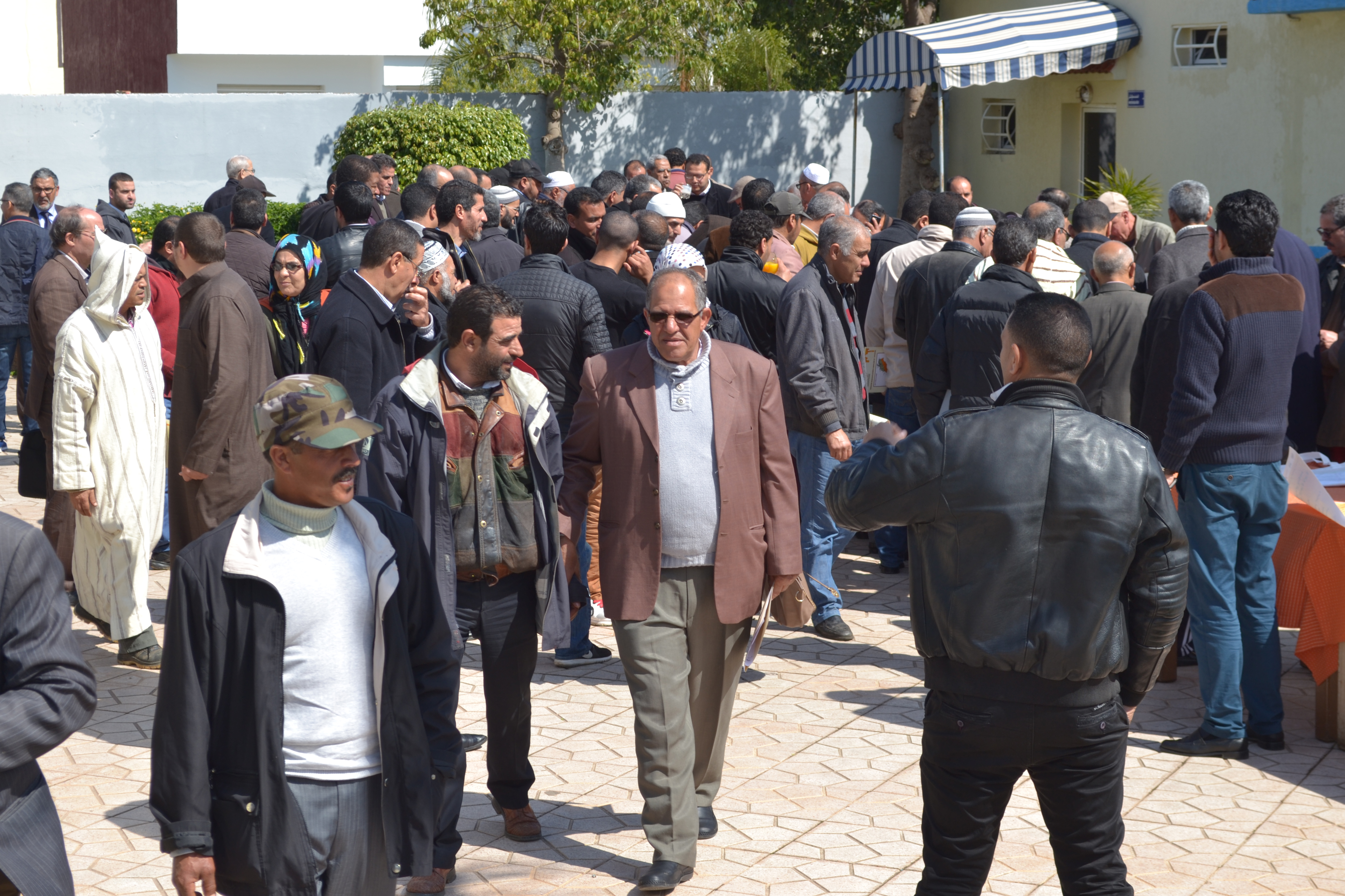 صور من اليوم الدراسي الذي نظم بجهة الرباط سلا القنيطرة حول تربية النحل.‎