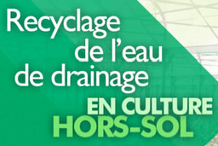 .Formation recyclage de l’eau de drainage en culture hors-sol‏